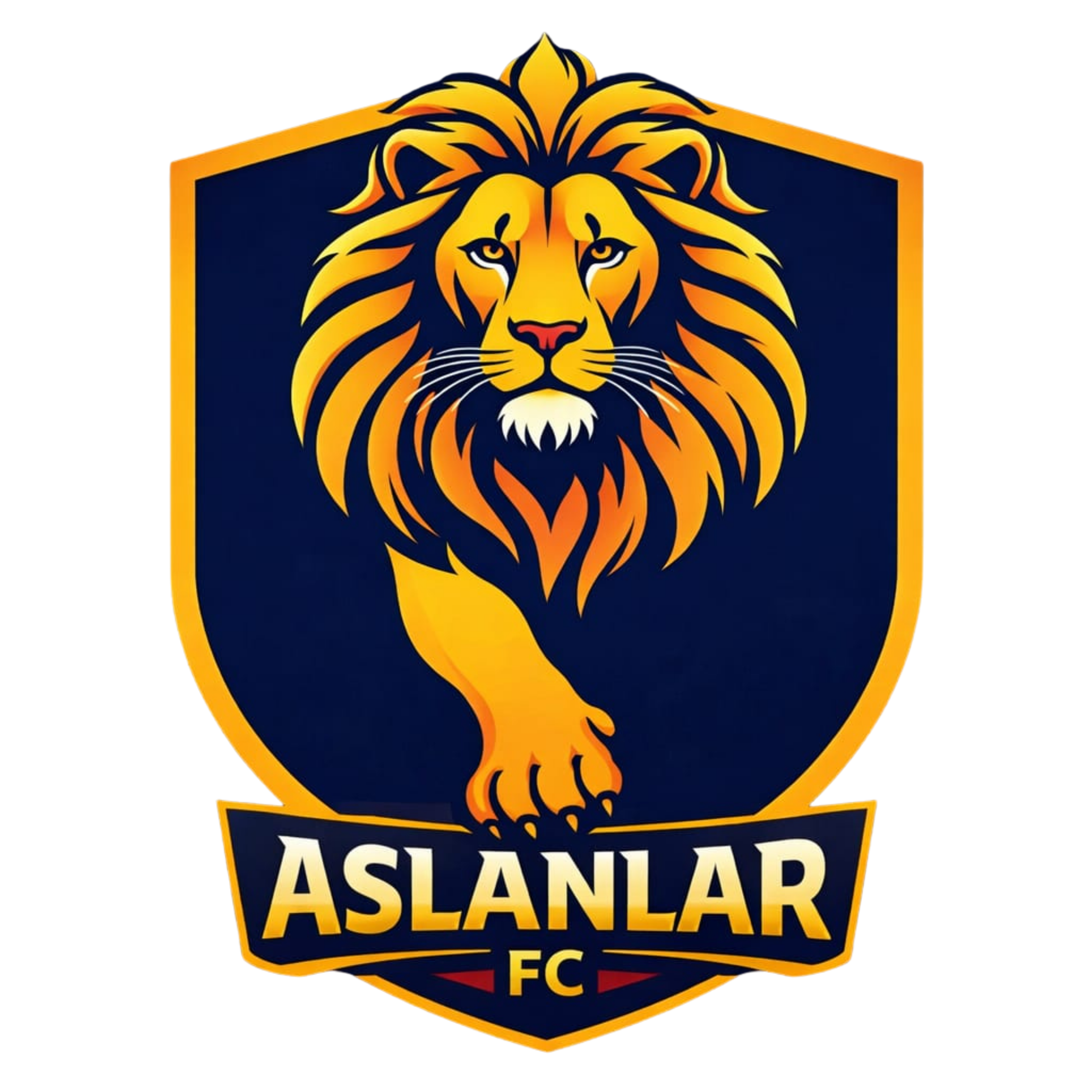 ASLANLAR FC